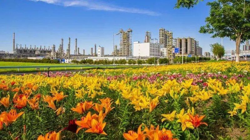 揭秘表面活性剂去油力测试：标准与关键指标