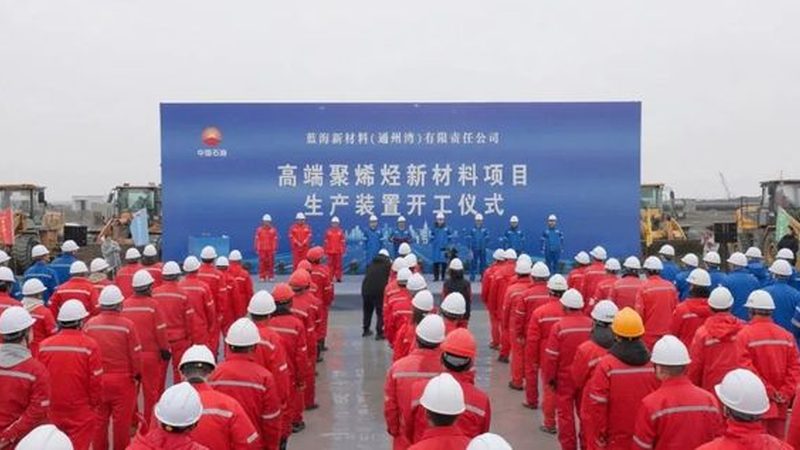 建筑用高分子材料：揭秘价格背后的秘密**